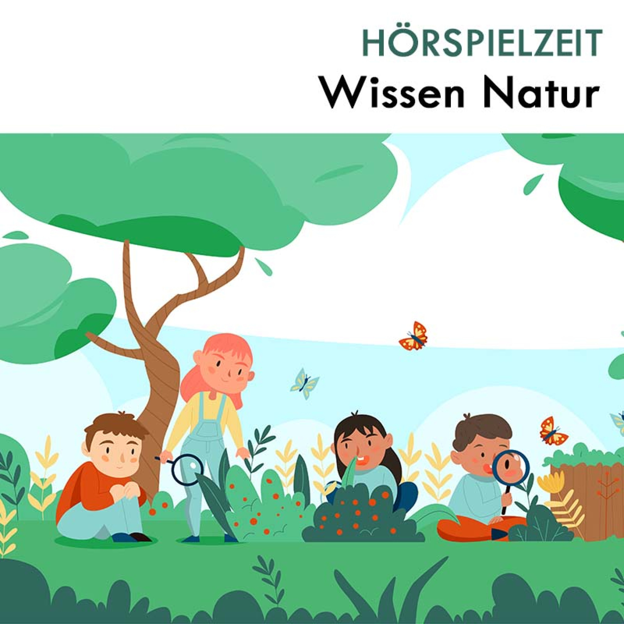 Hörspielzeit: Wissen Natur