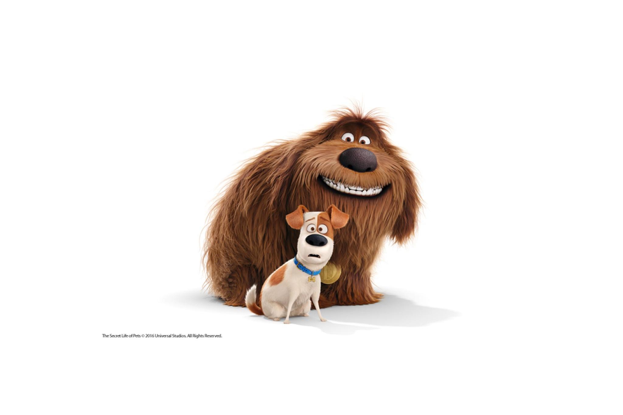 Pets-Header-Neu_source.jpg