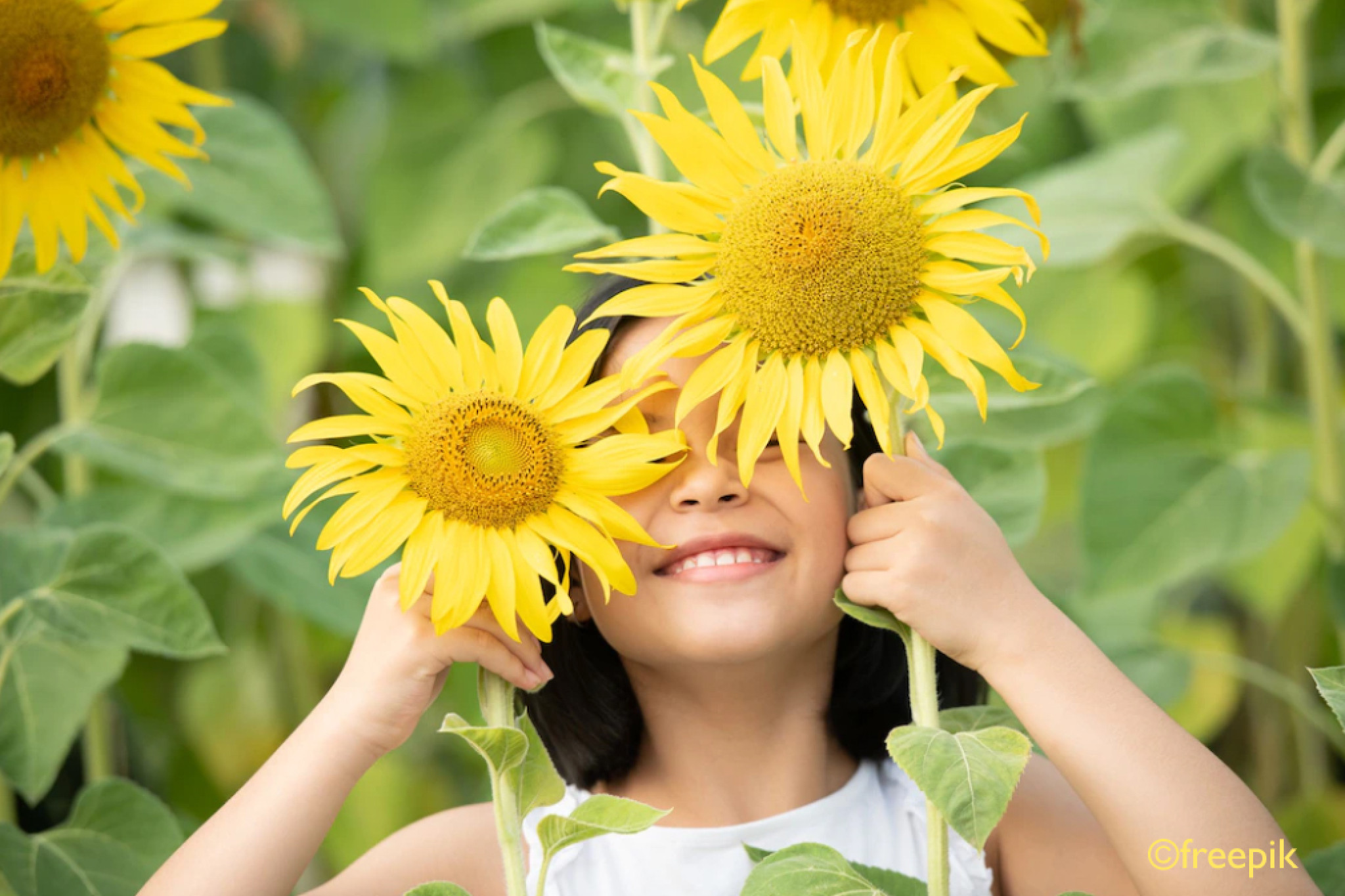 Die Sommer-Bucket-Liste