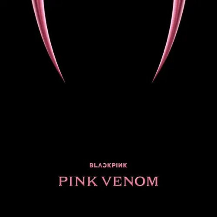 Blackpink Pink Venom