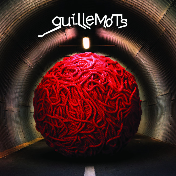 guillemots_cover 2008