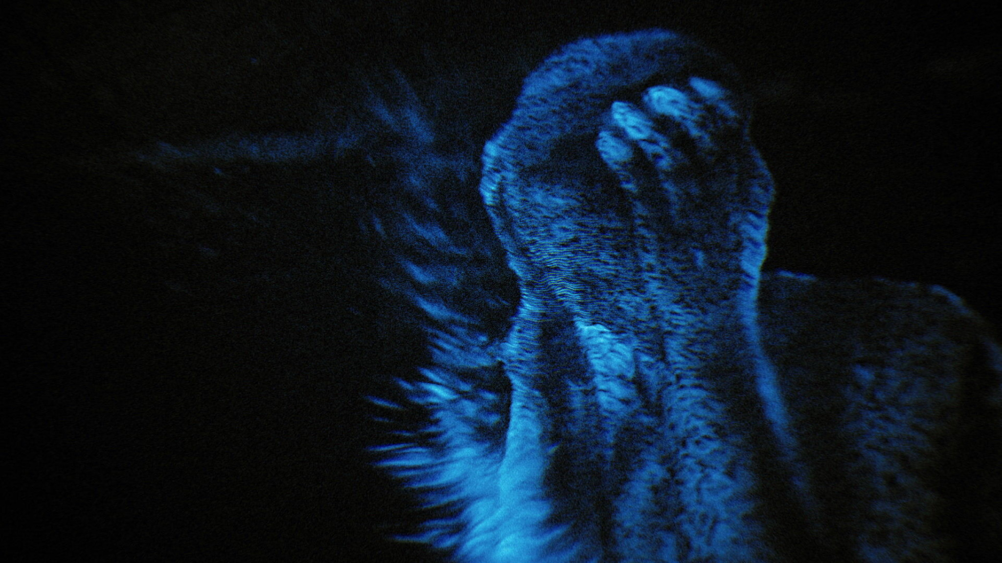 The Comet Is Coming - TECHNICOLOUR