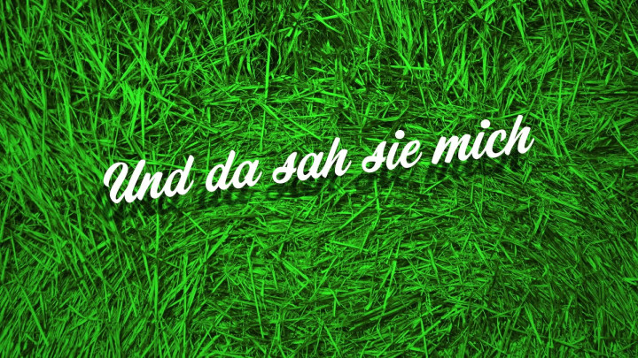 Landjugend (Baby, i bin von der...)