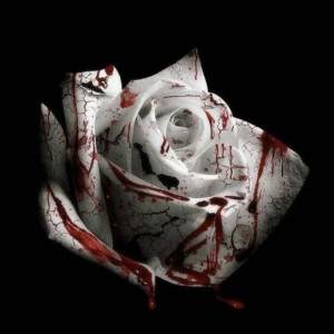 Romantic homicide