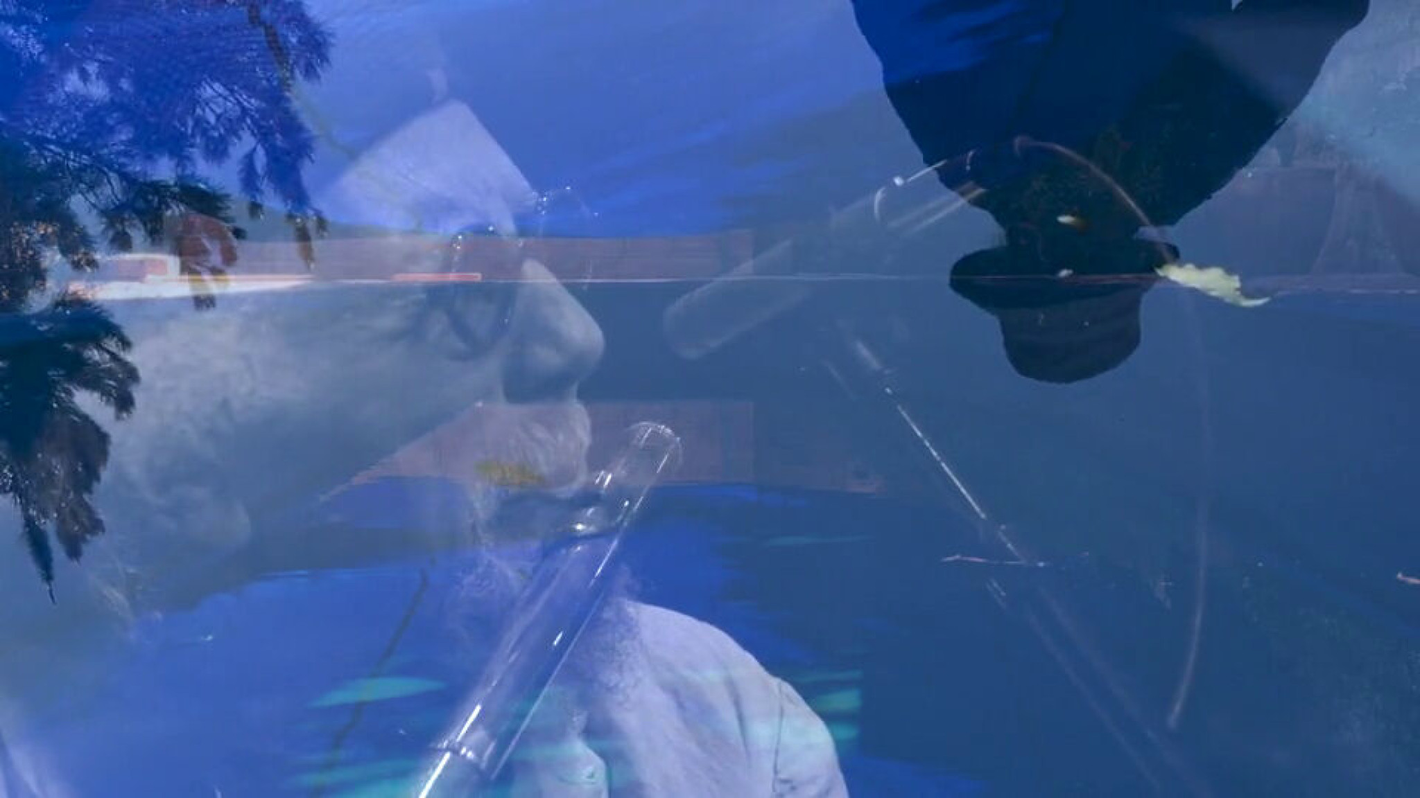 Jaramillo Blues (For Virginia Jaramillo and Danny Johnson) feat. Anthony Wilson Gerald Clayton