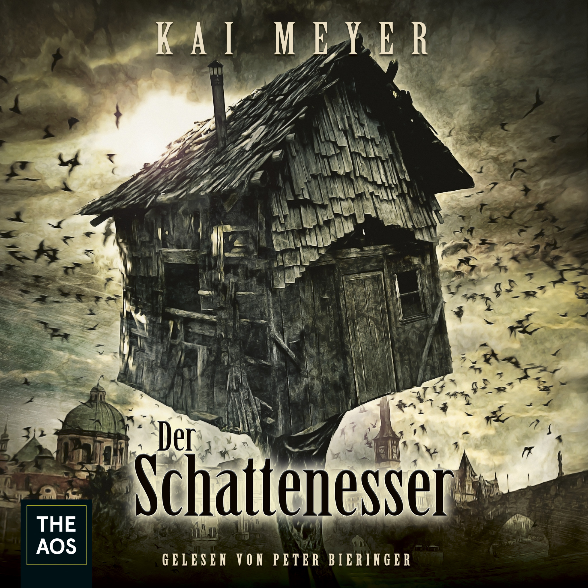 Der Schattenesser Cover