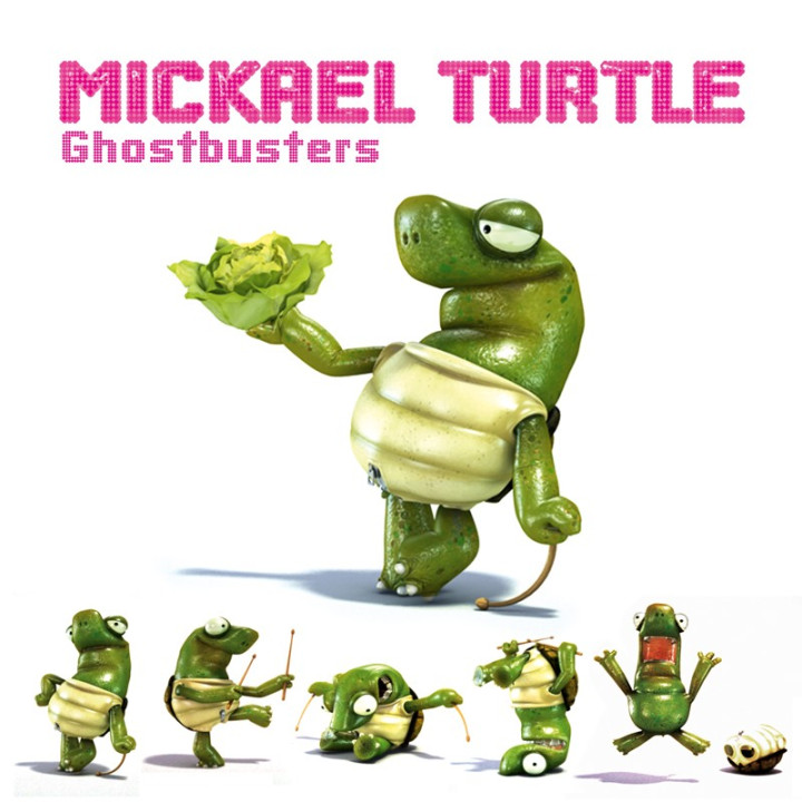 Mickael Turtle