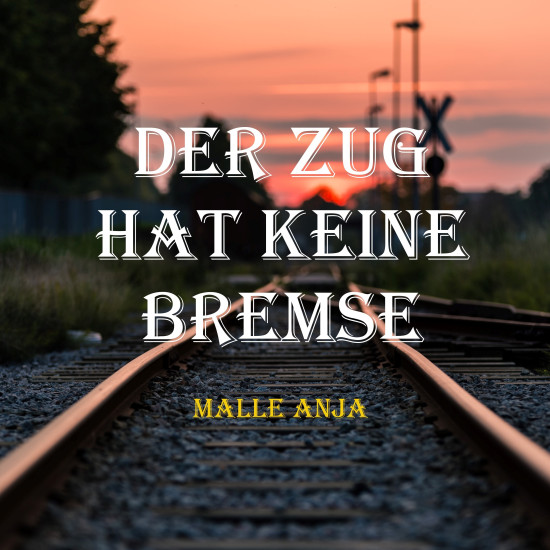 Der Zug hat keine Bremse.jpeg