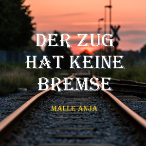 Der Zug hat keine Bremse.jpeg