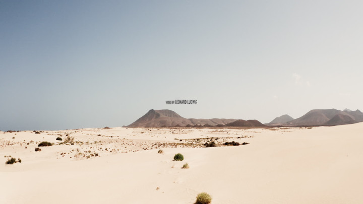 Luca Wolf - Planet