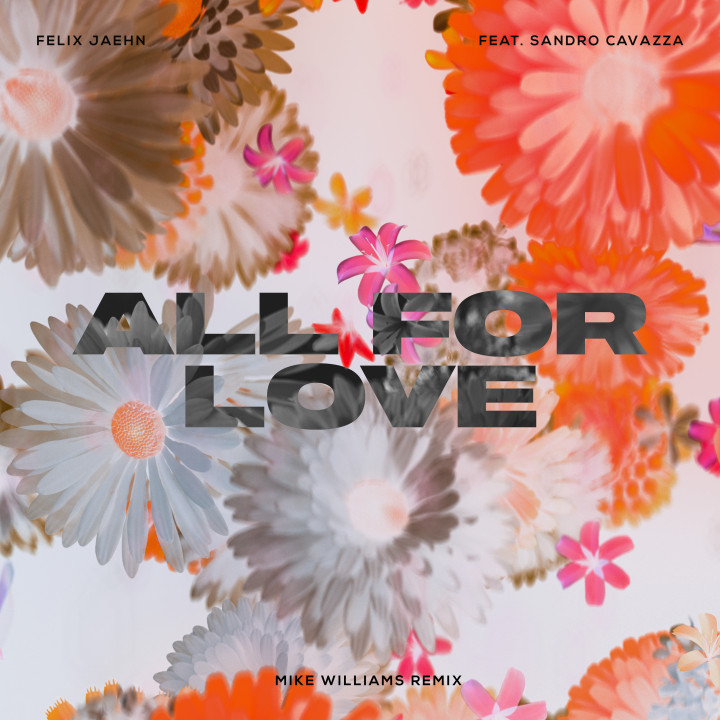 AllForLove-Cover-MikeWilliamsRemix.jpg