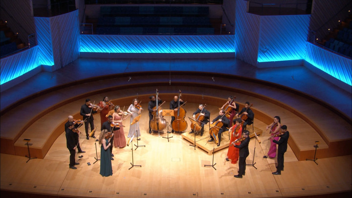 Aldemaro: Suite for Strings: Fuga con Pajarillo