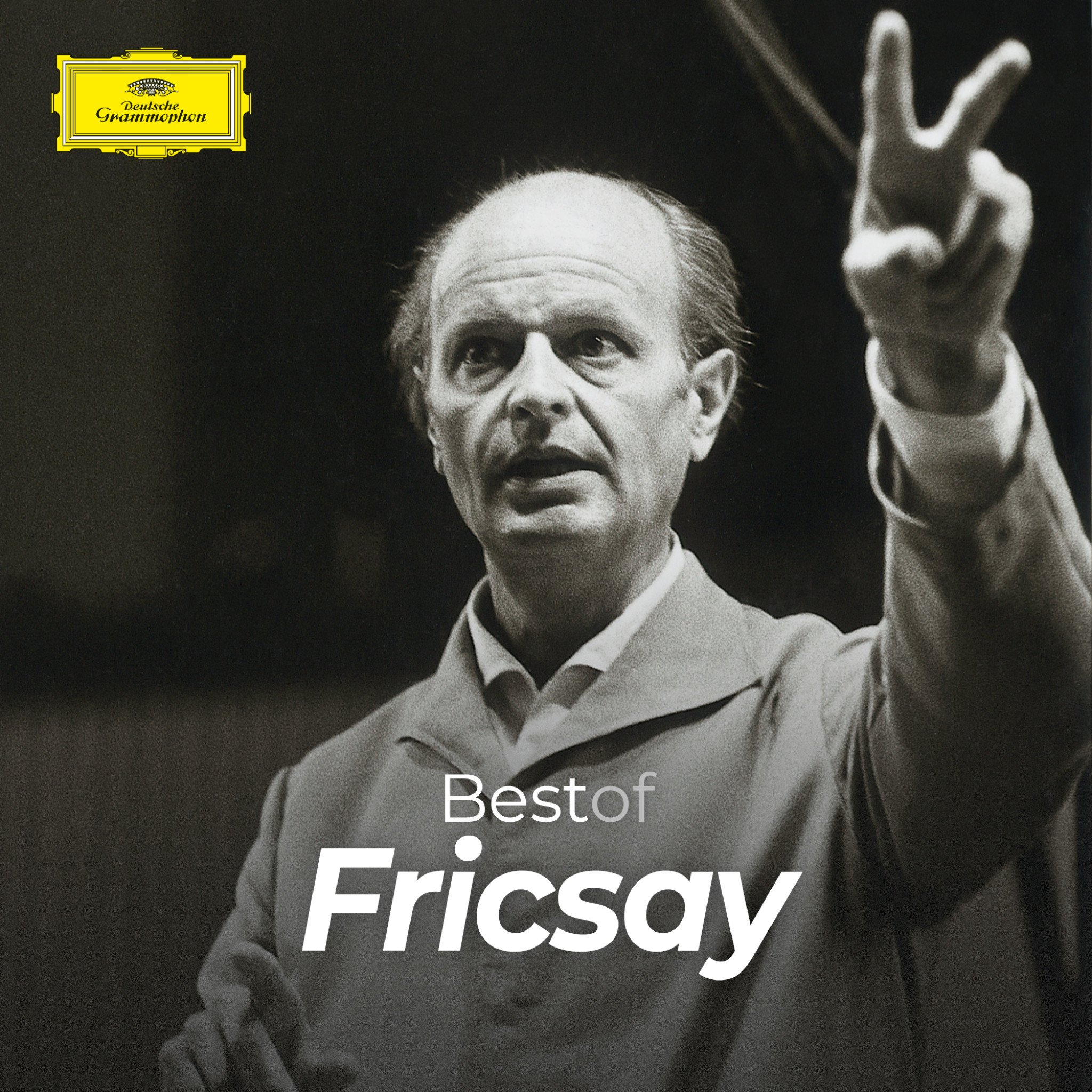 Ferenc Fricsay - Best of