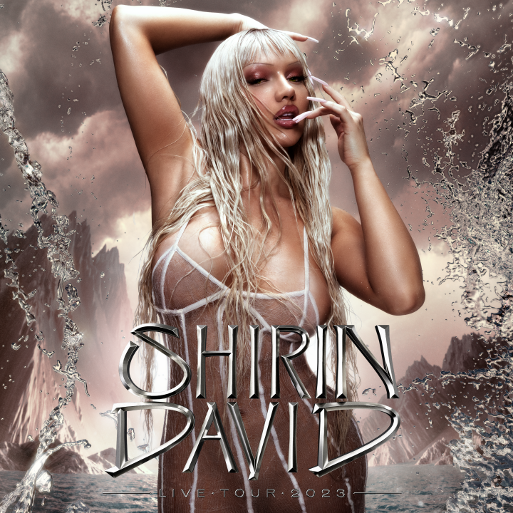 Shirin David Tour Artwork