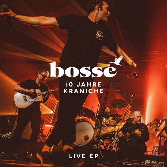 10 Jahre Kraniche Live Cover