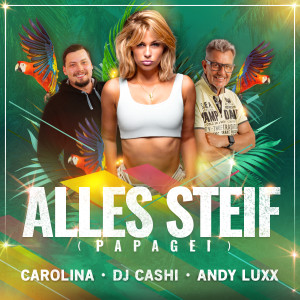 allessteif_cover_v1.9.jpg