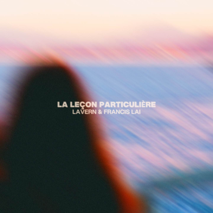 La leçon particulière Cover