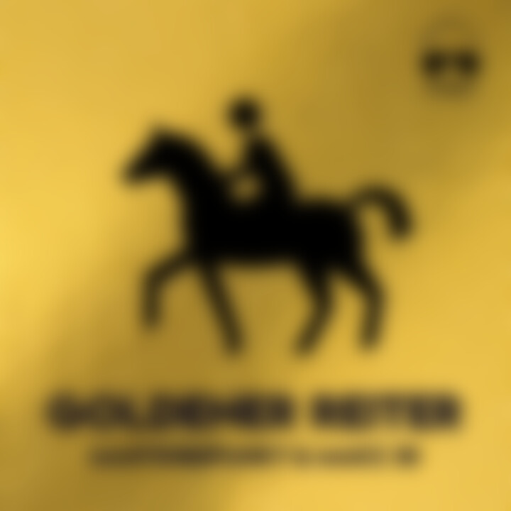 MartinBepunkt_GoldenerReiter_Cover.jpg
