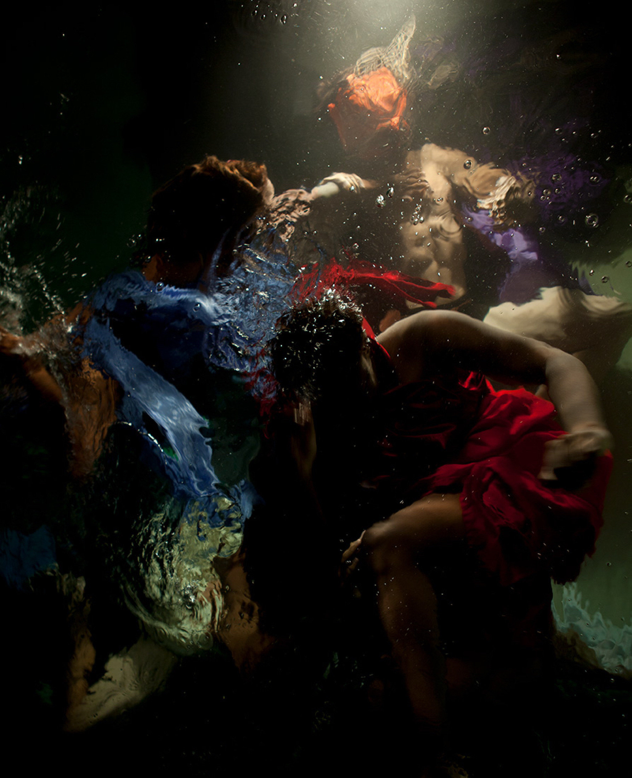 Christy Lee Rogers - The Innocents