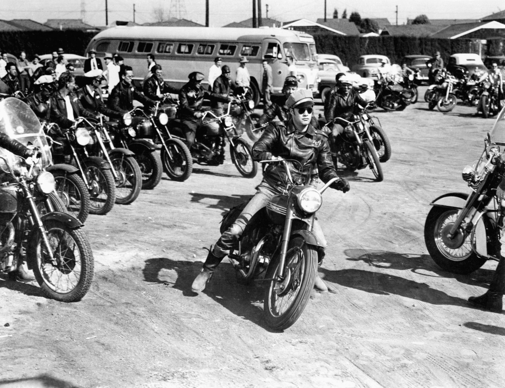 “The Wild One” - © Columbia Pictures / Diltz / Bridgeman Images