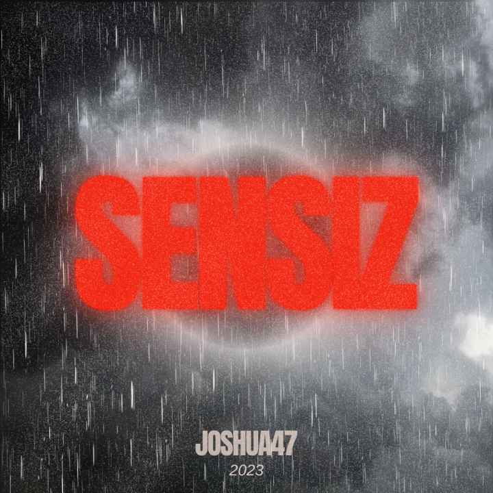 Sensiz Cover