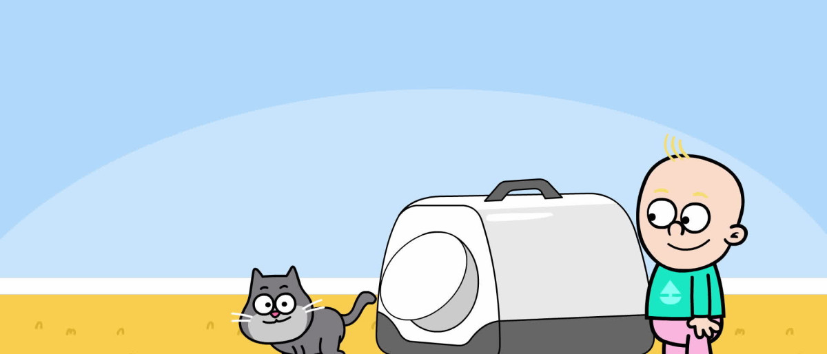 Cat Toilet