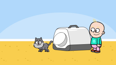 Cat Toilet