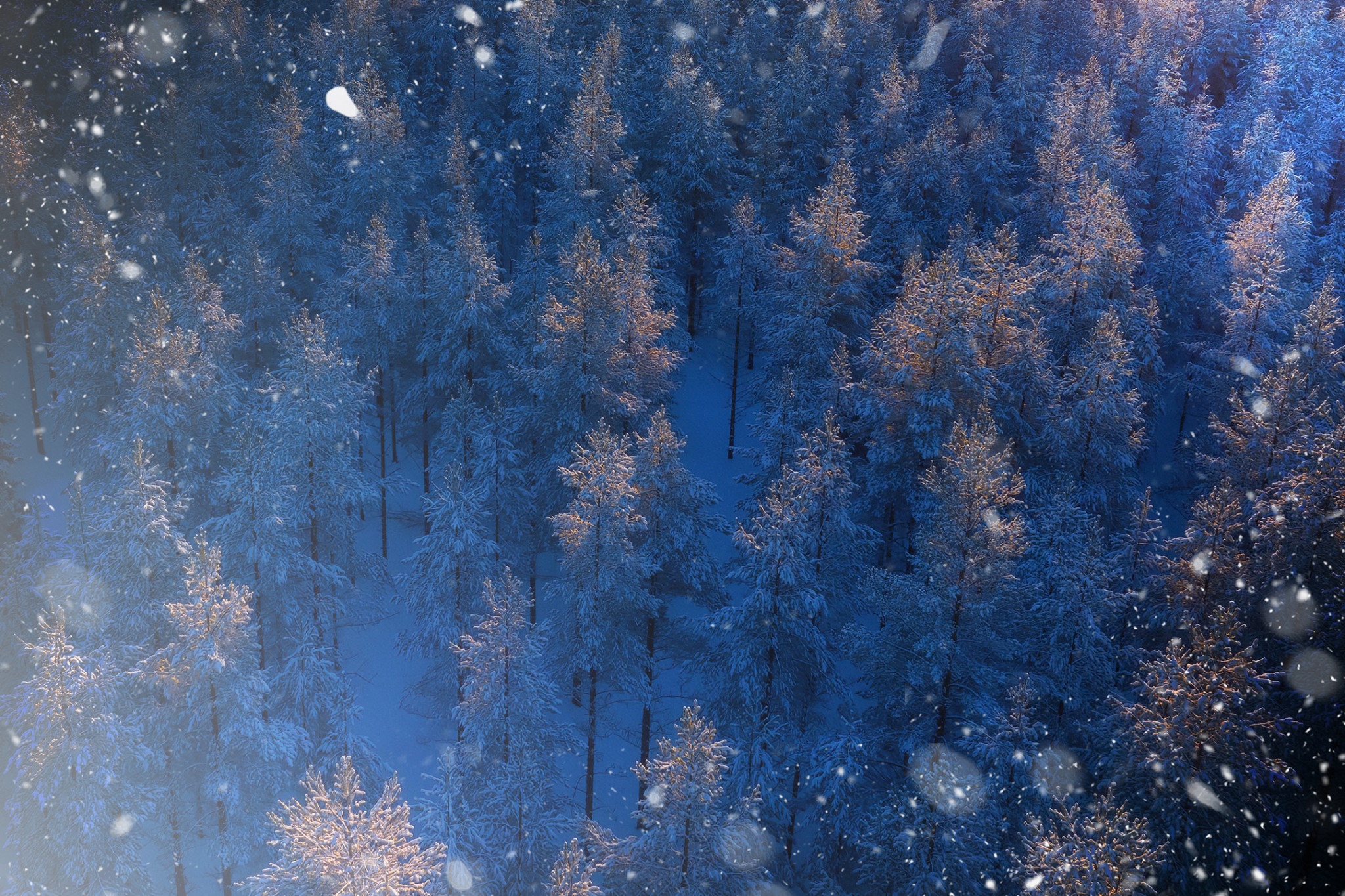 VOCES8 - A Choral Christmas