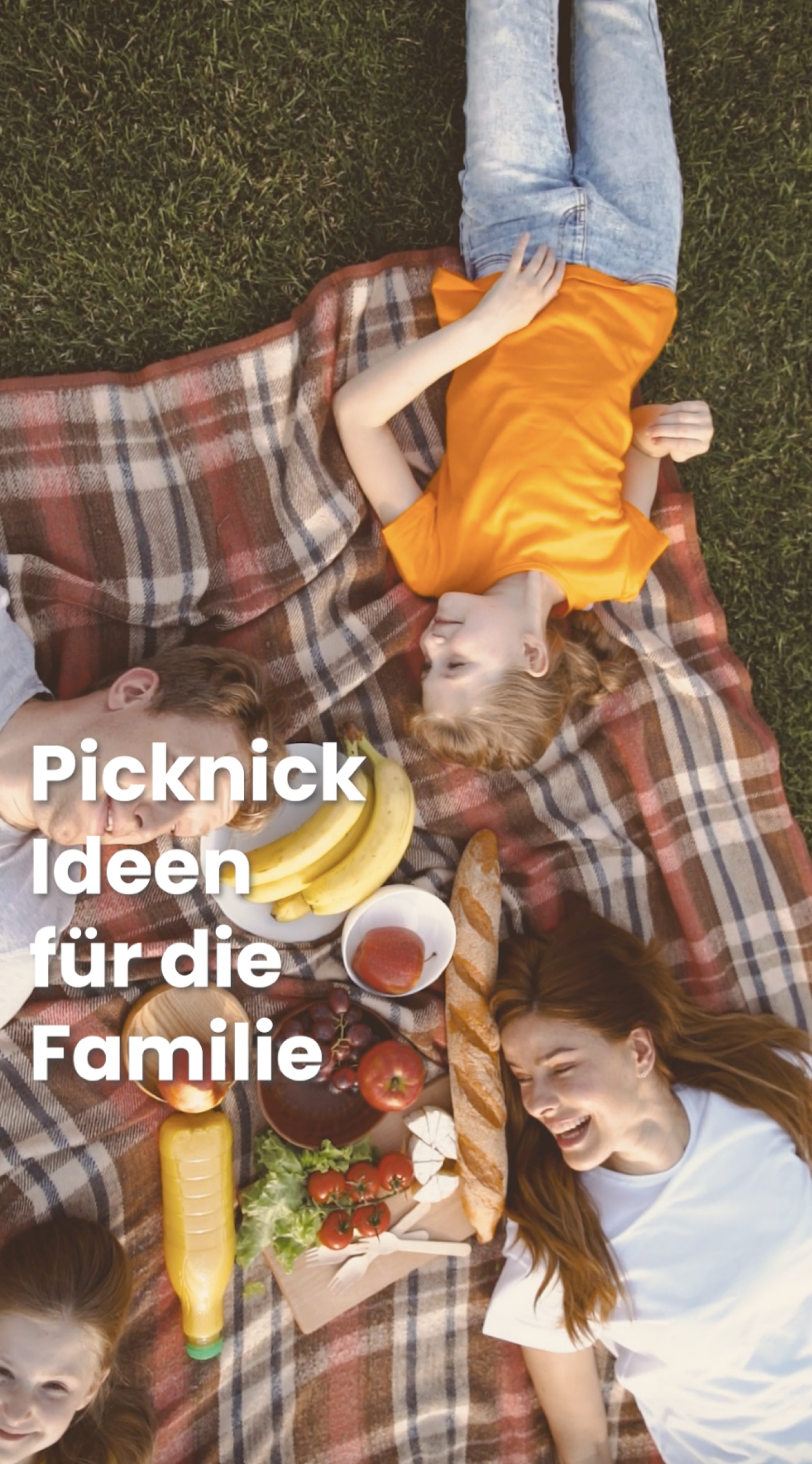Picknick-Inspiration.png