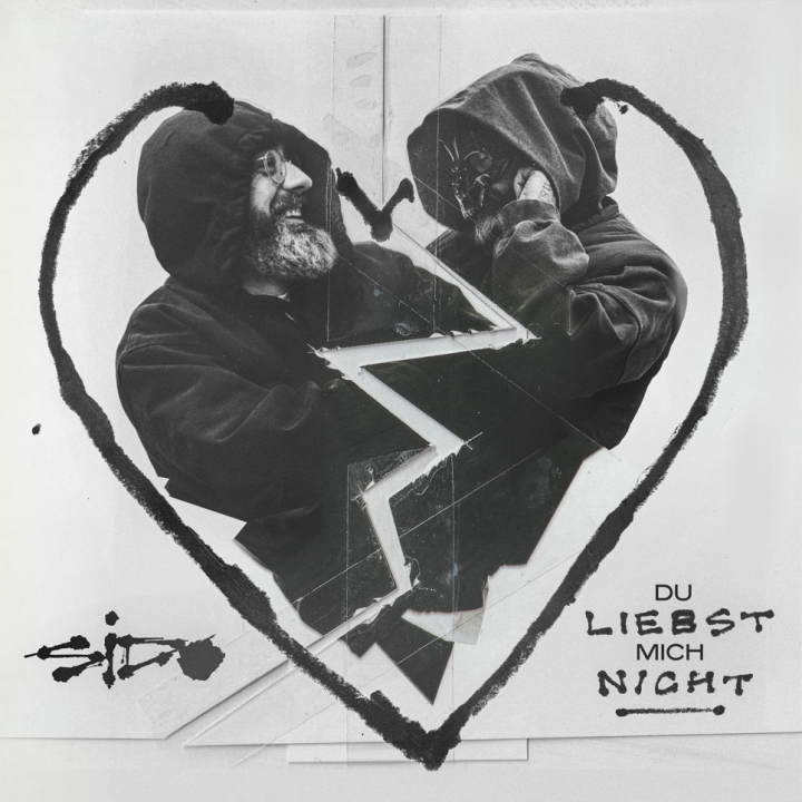 Du Liebst Mich Nicht Cover