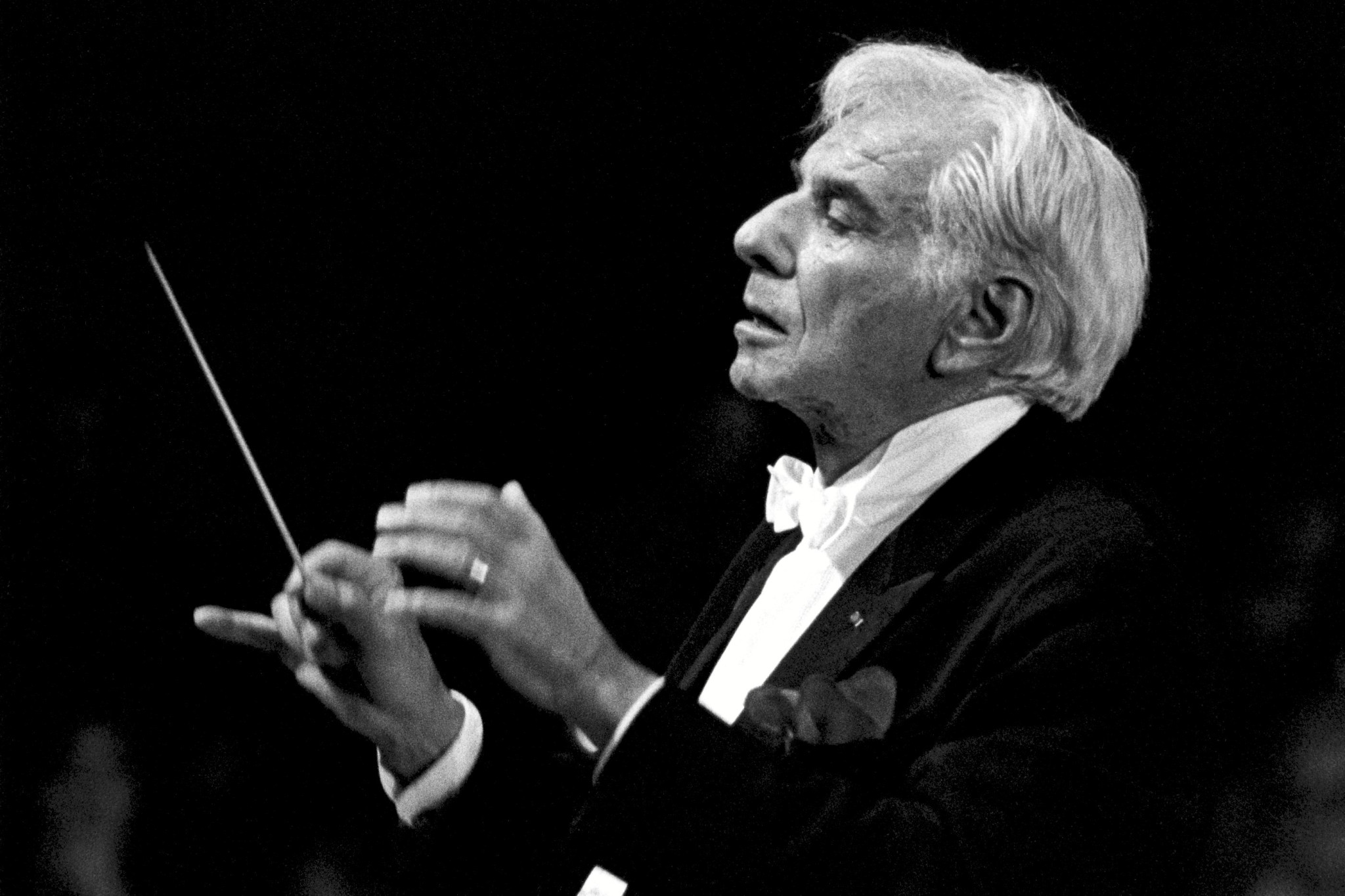 Bernstein_2007_06_E19.jpg