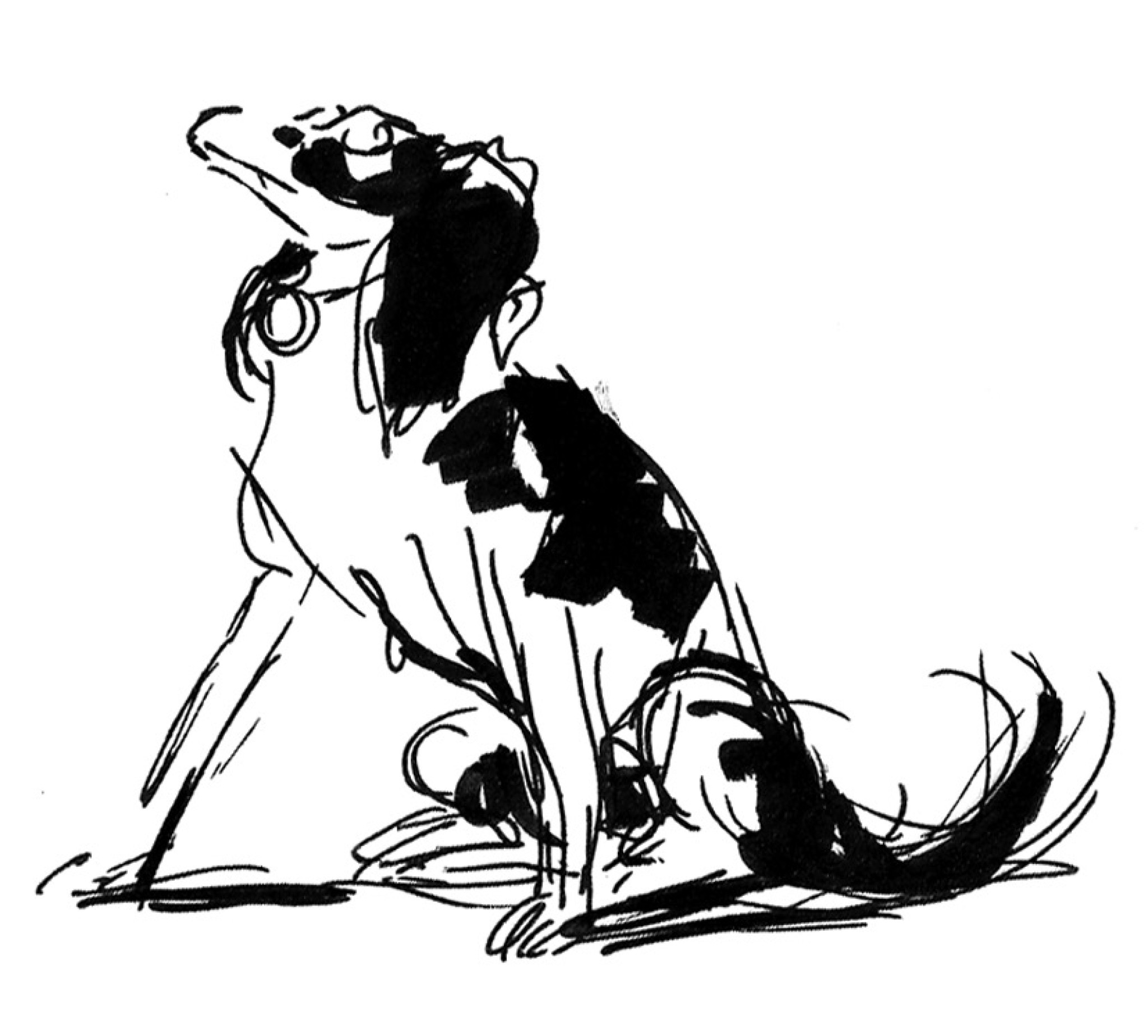 Wufftel (Ink-Drawing)