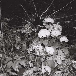 kontrollverlust Cover