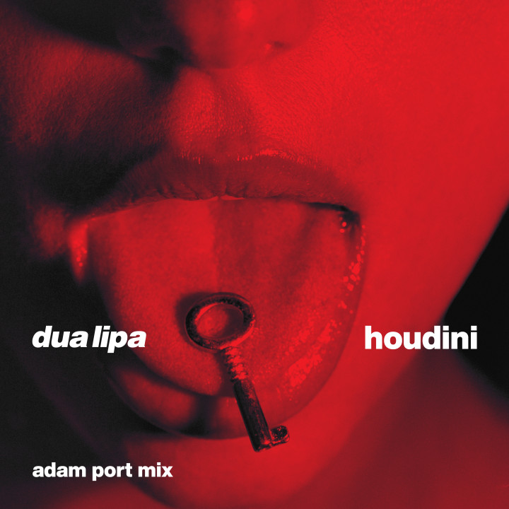 Houdini Adam Port Mix