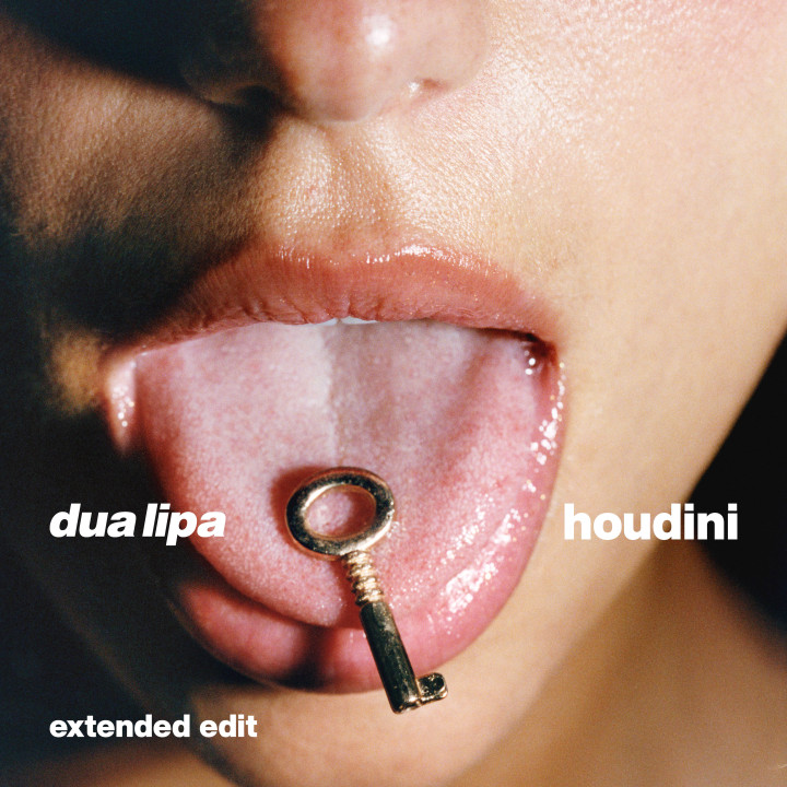 Houdini Extended Edit Cover