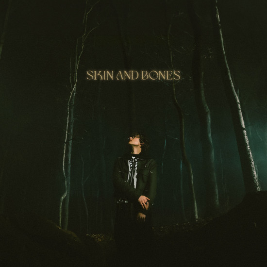 David Kushner - Skin and Bones