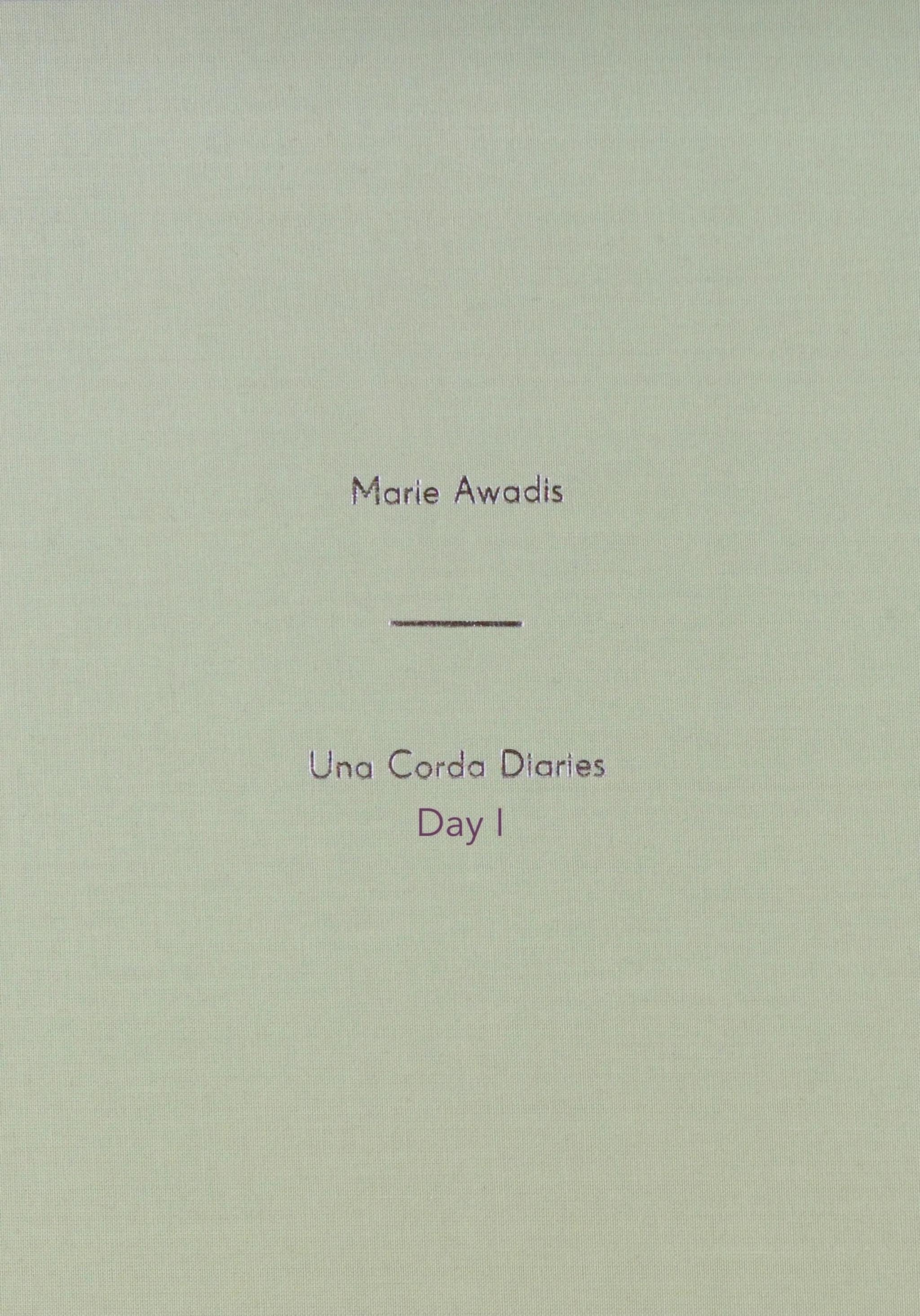 DAY I - Una Corda Diaries.jpeg