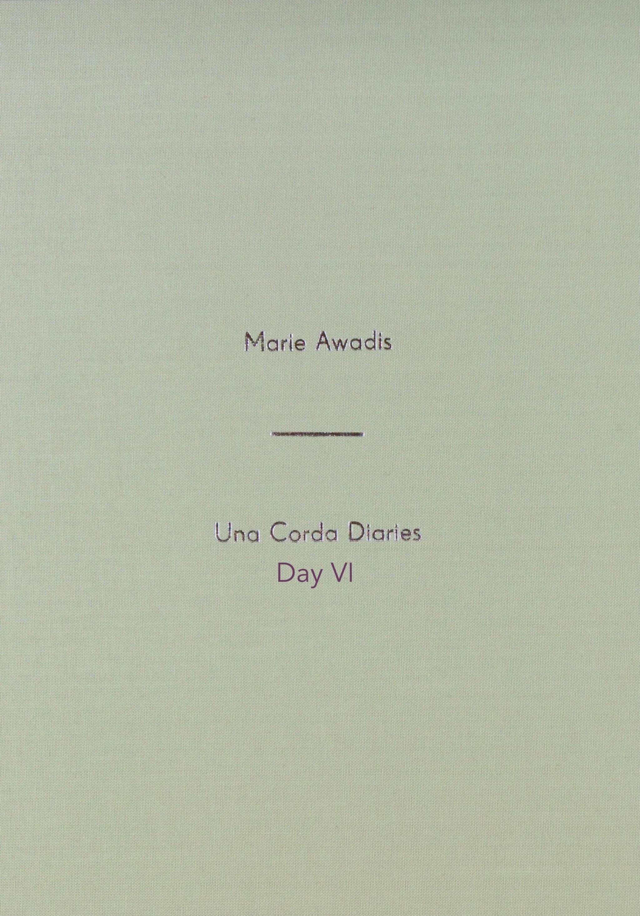 DAY VI - Una Corda Diaries .jpeg