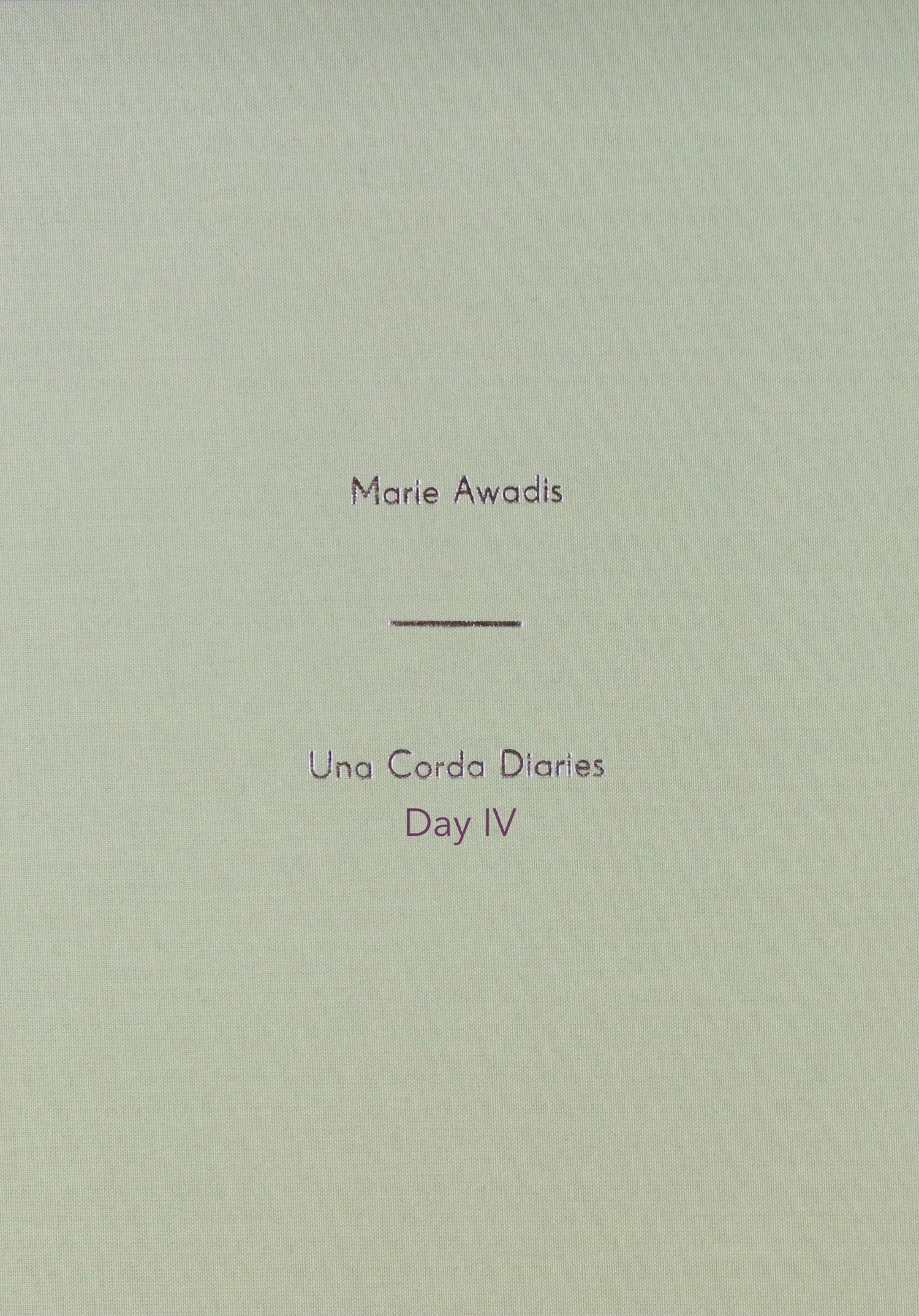 DAY IV - Una Corda Diaries.jpeg