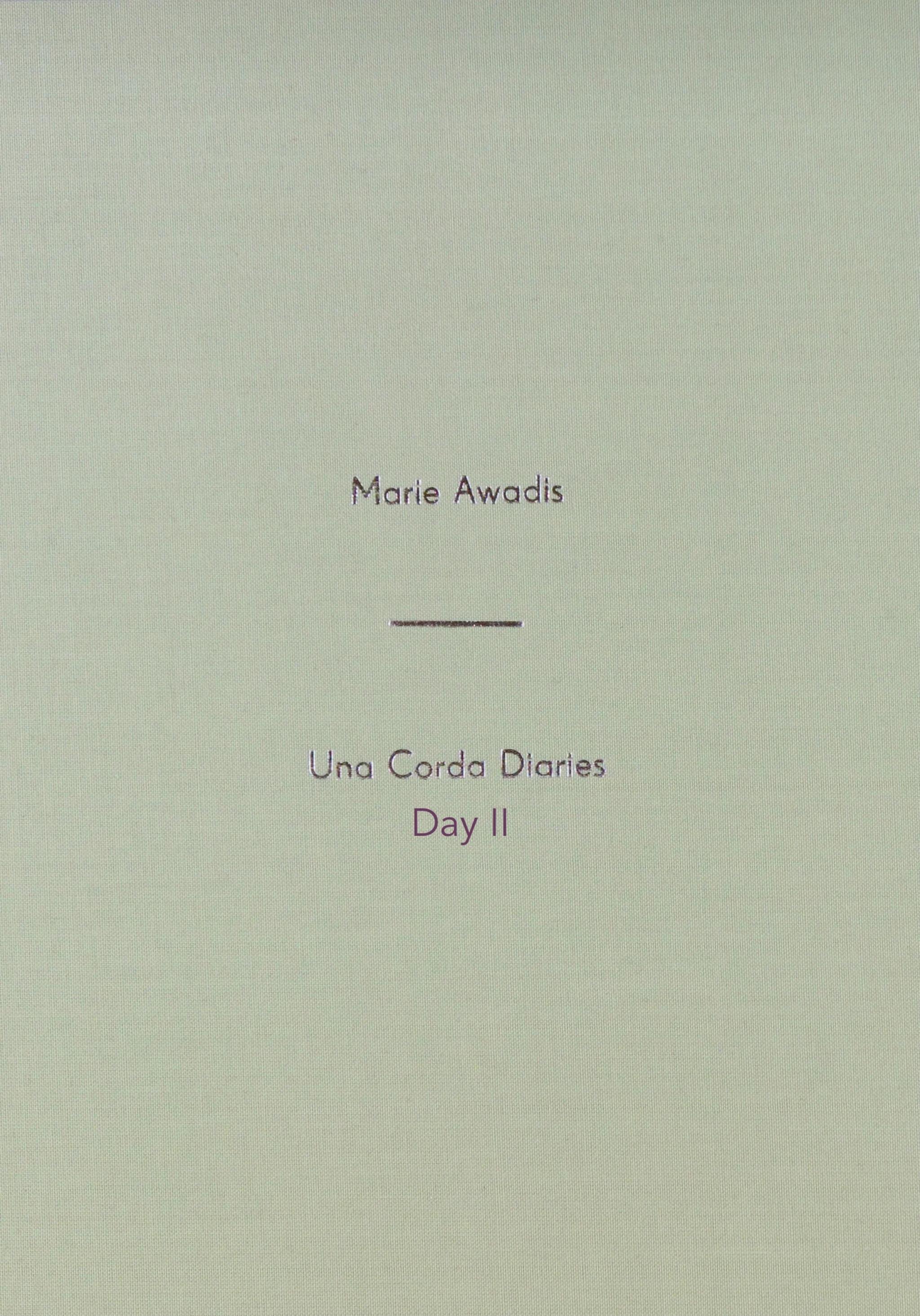 DAY II - Una Corda Diaries.jpg