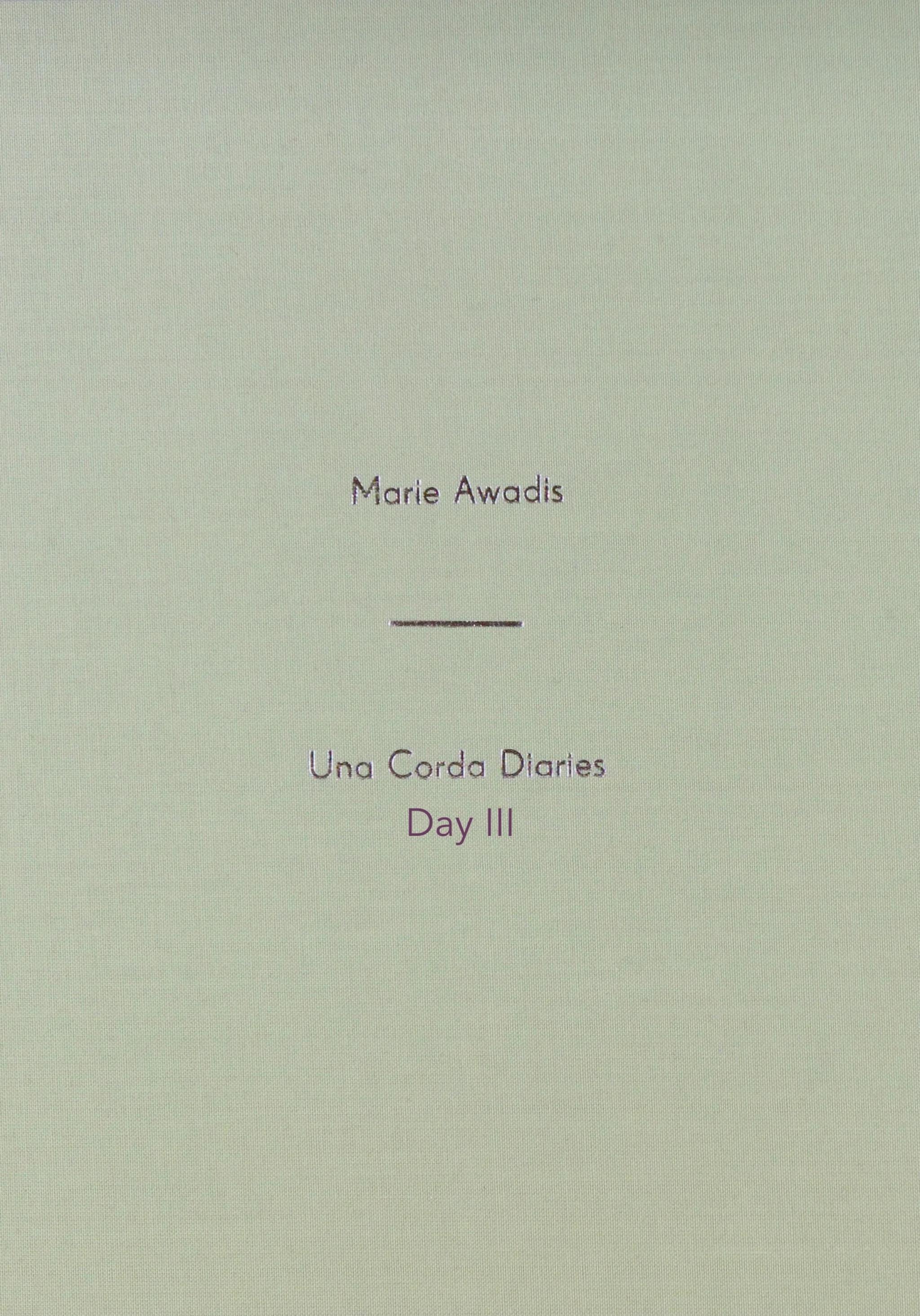 DAY III - Una Corda Diaries.jpg