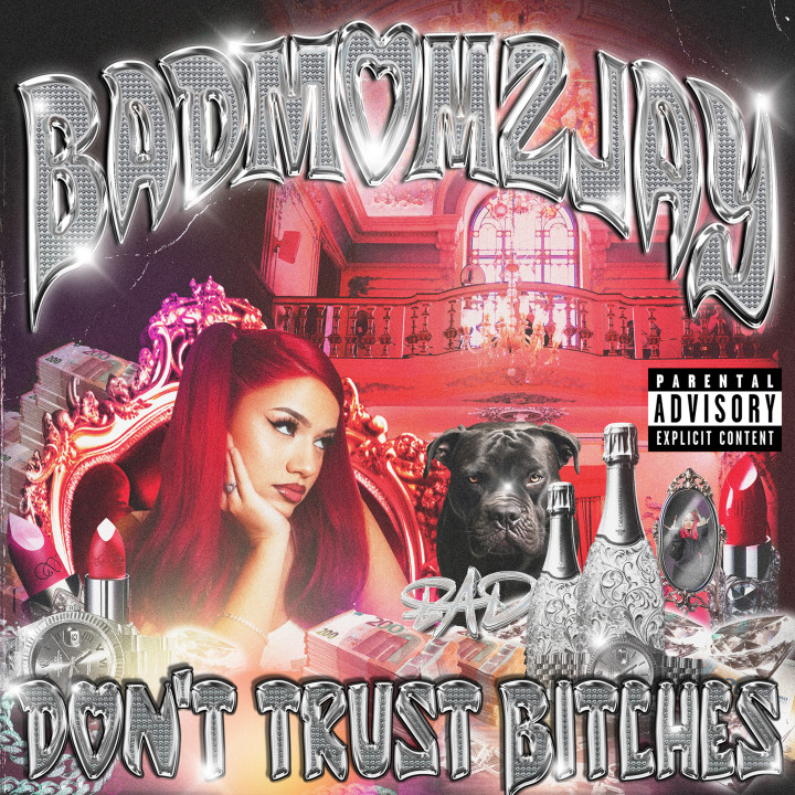 Don't Trust Bitches Cover