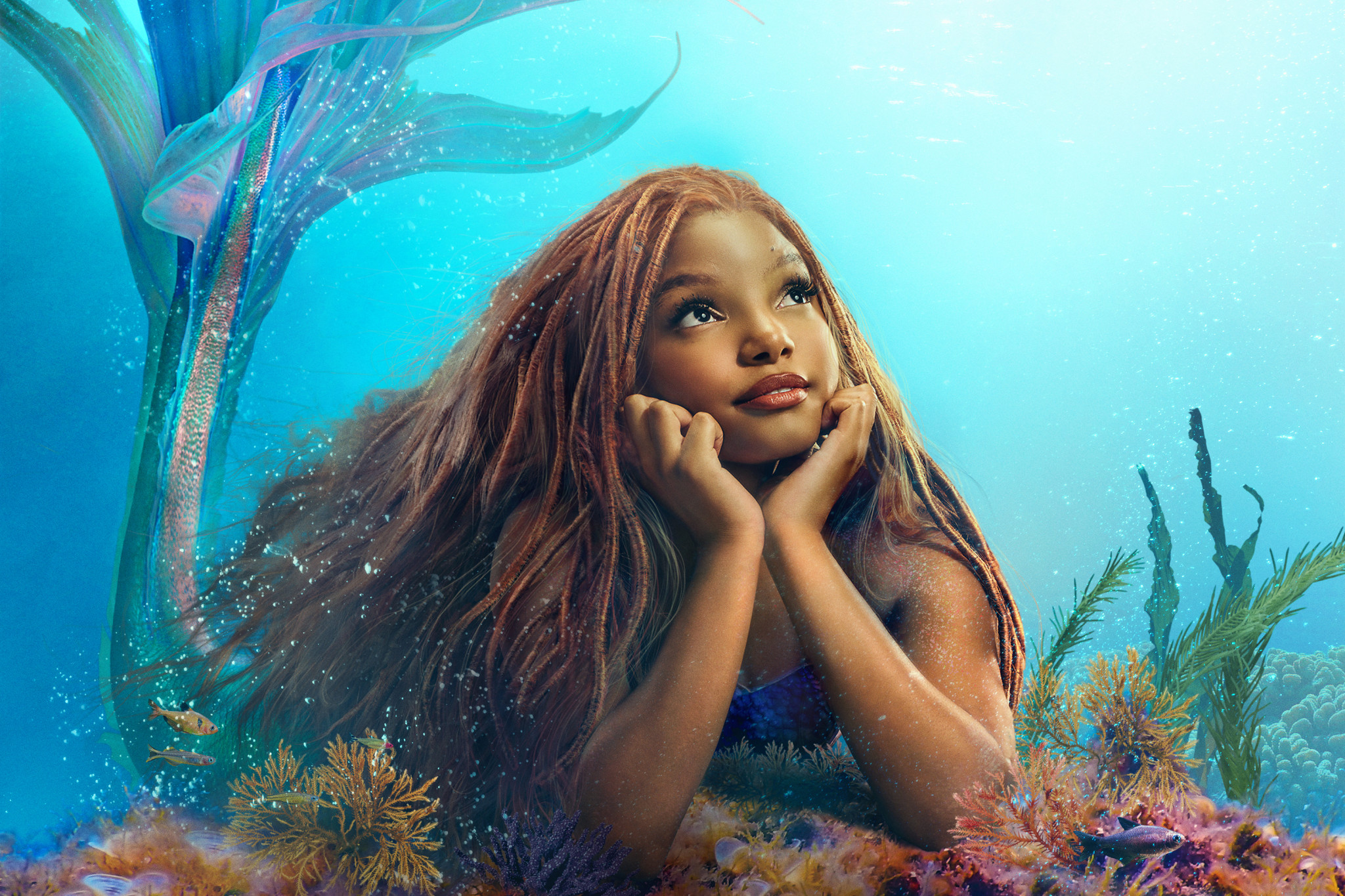 ST-The-Little-Mermaid-Profile-Picture.jpg