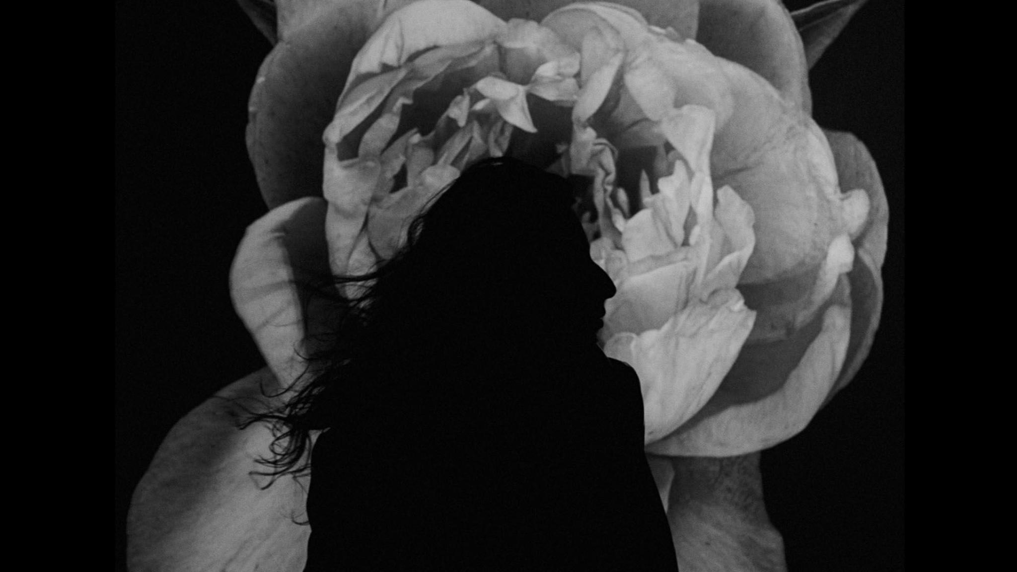 Raat Ki Rani (Visualizer)