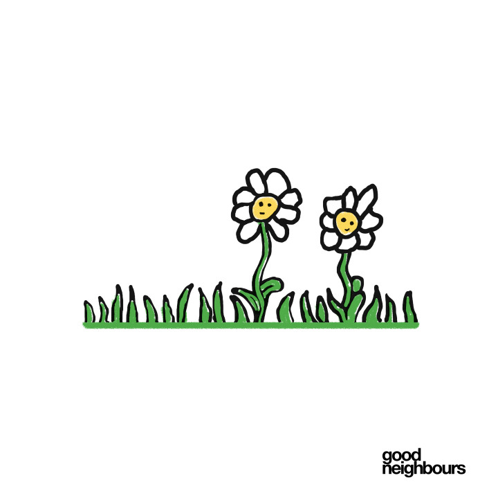 Daisies Cover.jpg