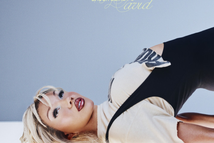 Shirin David