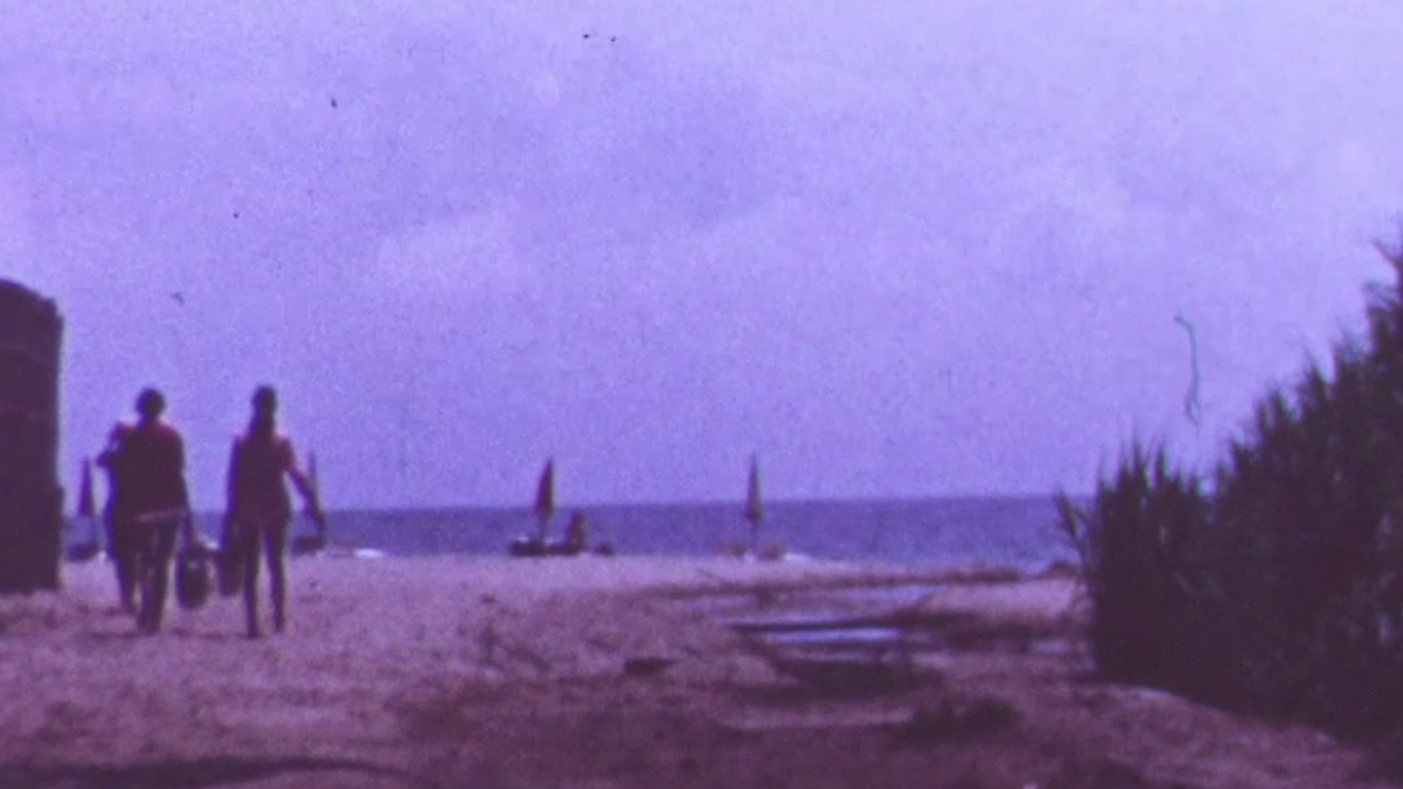 Ludevico Einaudi - Rose Bay