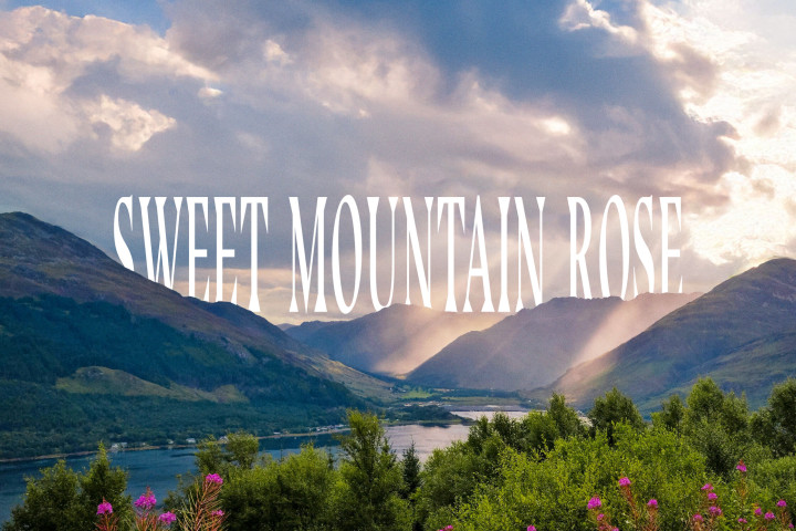 203_ELE_Nathan_Evans_Mountain_Rose_RZ.jpg