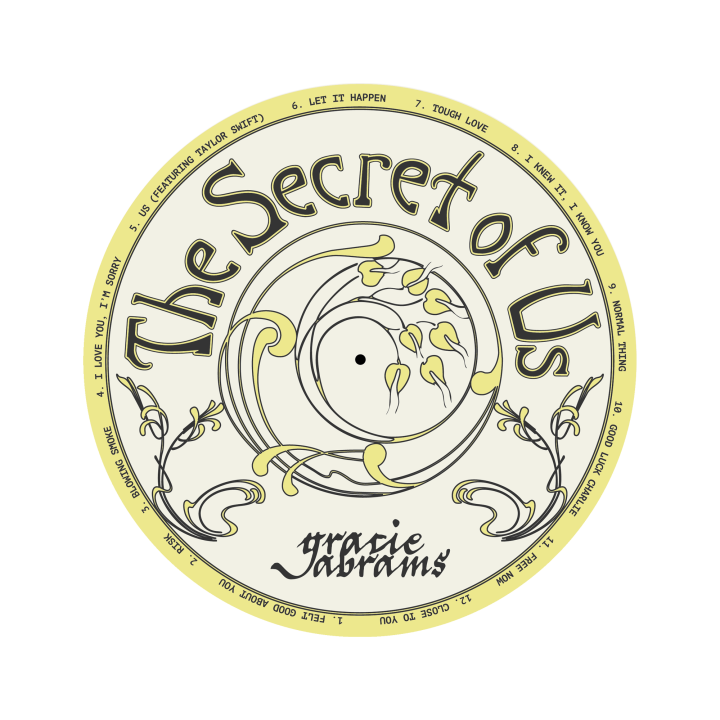 The Secret of Us Vinyl Slip-Mat