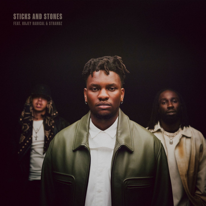 Artwork “Sticks & Stones (ft. Kojey Radical & Strandz)” (2024)